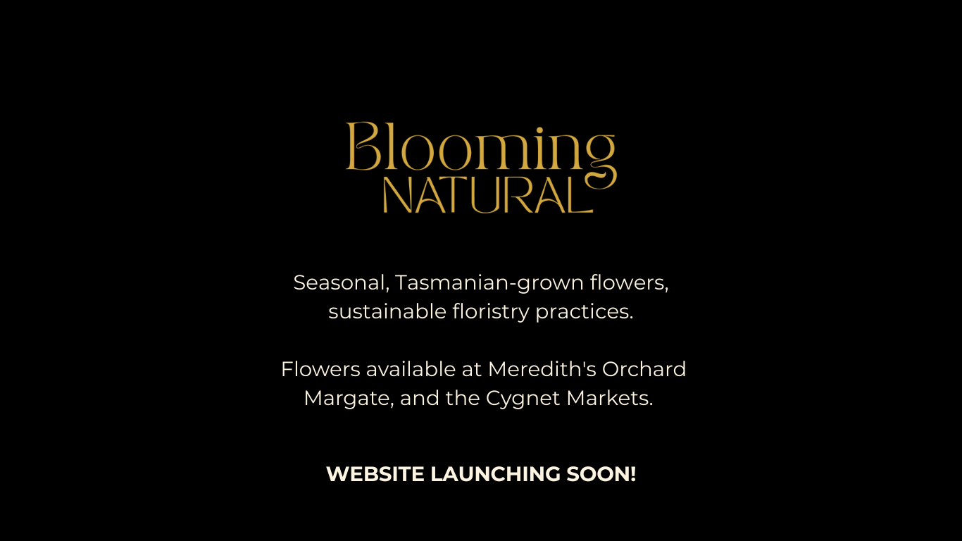 Blooming Natural – Coming Soon